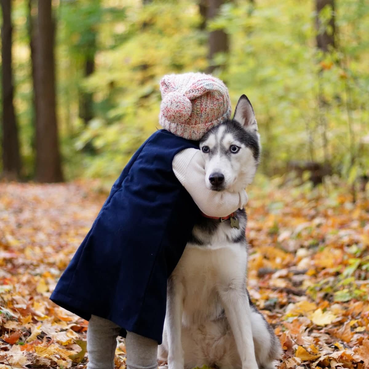 Pet Love Lessons